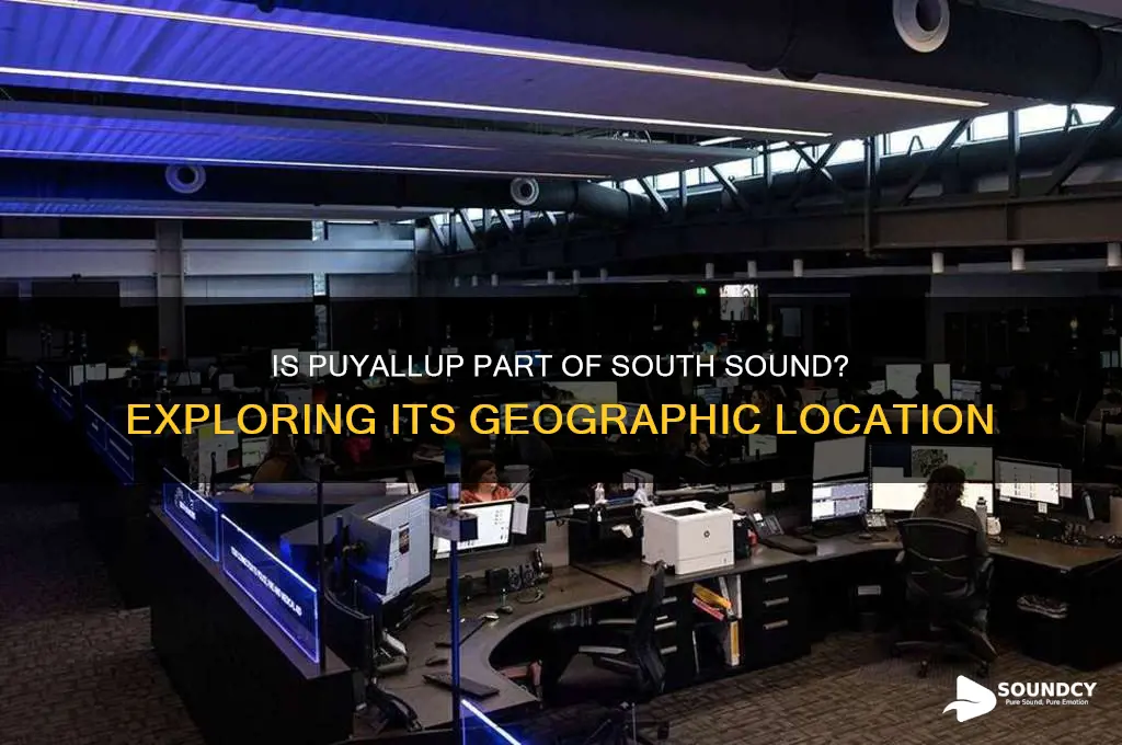 is puyallup in south sound