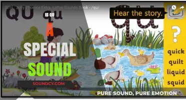 Is the 'Qu' Sound Unique? Exploring Its Special Role in Language