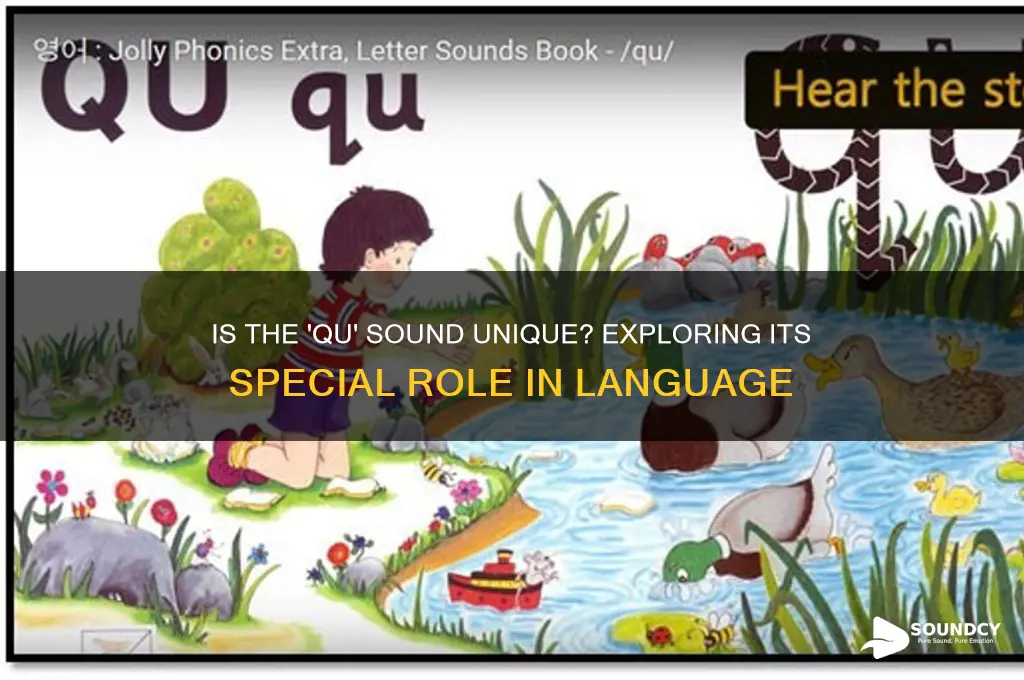 is qu a special sound