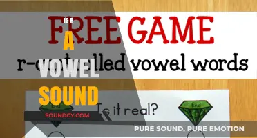 Is 'R' a Vowel Sound? Unraveling the Mystery in Phonetics