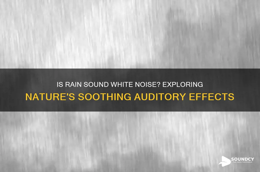 is rain sound white noise