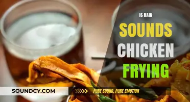 Rain Sounds Like Chicken Frying: Unraveling the Auditory Illusion