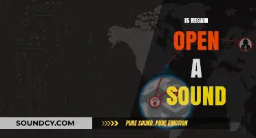 Is Regain Open a Sound? Exploring Its Meaning and Usage