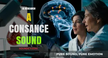 Is Research a Constant Sound? Exploring the Noise of Discovery