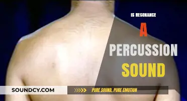 Is Resonance a Percussion Sound? Exploring the Science Behind Vibrations