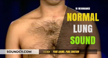 Is Resonance a Normal Lung Sound? Understanding Respiratory Acoustics