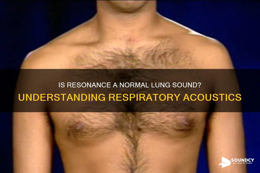 is resonance normal lung sound