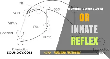 Exploring the Nature of Auditory Reflexes: Innate or Learned?