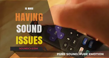 Roku Sound Problems: Troubleshooting Audio Issues on Your Streaming Device