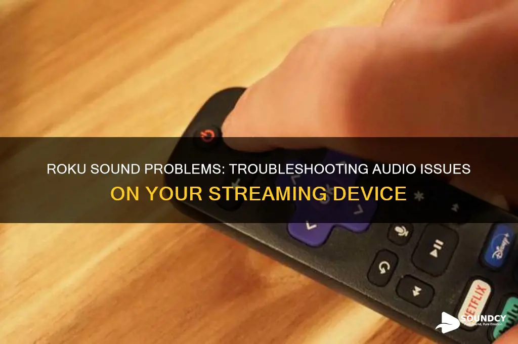 is roku having sound issues