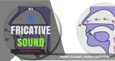Is /s/ a Fricative Sound? Exploring English Phonetics and Articulation