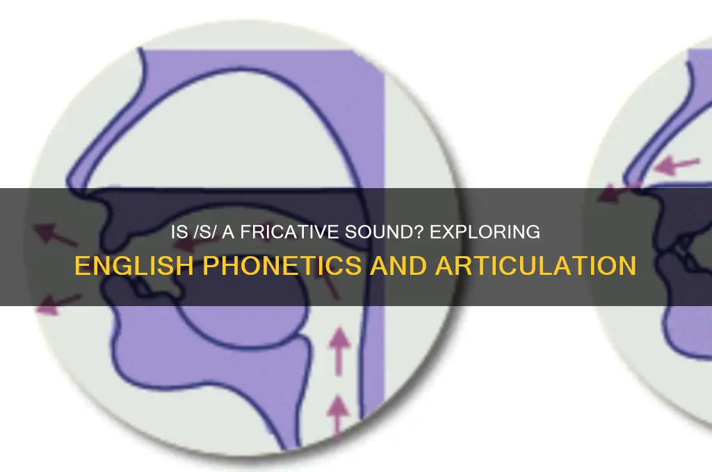 is s a fricative sound