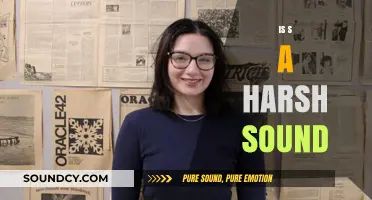 Is the Letter S a Harsh Sound? Exploring Its Acoustic Impact