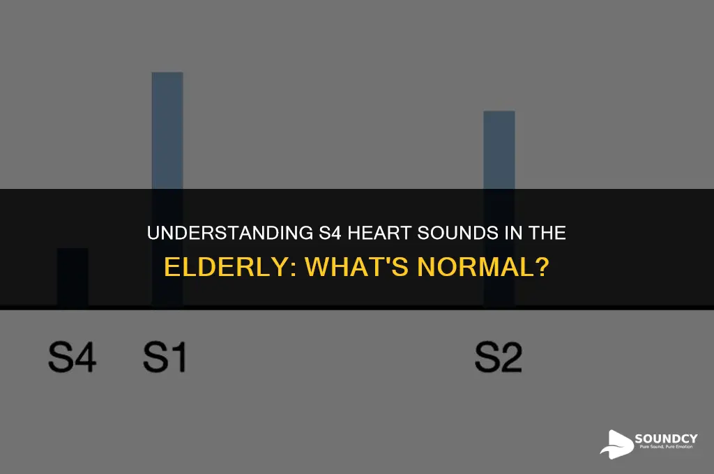 is s4 heart heart sound normal for old age