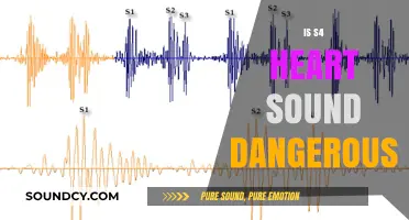 Understanding S4 Heart Sound: Risks, Implications, and When to Worry