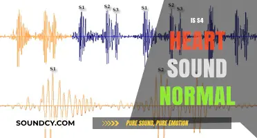 Understanding S4 Heart Sound: Is It Normal or a Cause for Concern?