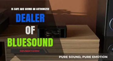 Exploring the Legitimacy of Safe and Sound as a Bluesound Dealer