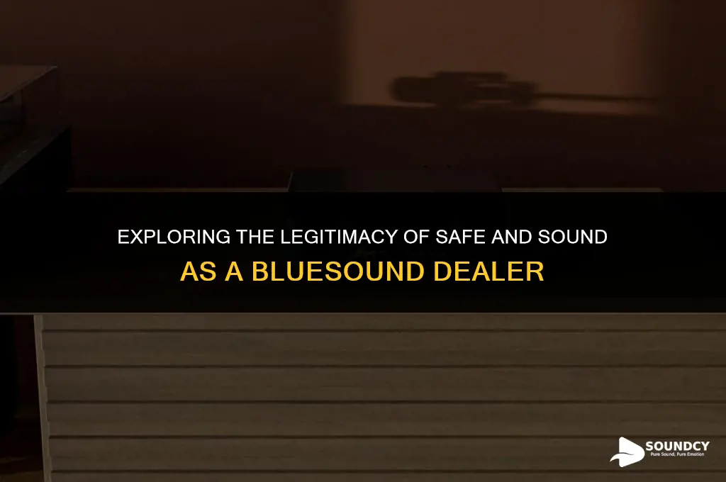 is safe and sound an authorized dealer of bluesound