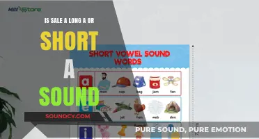 Exploring Phonetics: The Long and Short of the 'A' Sound in Sales
