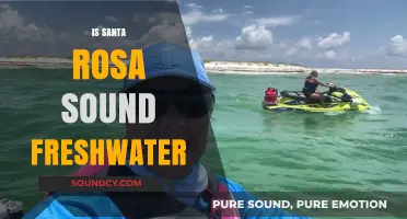 Is Santa Rosa Sound Freshwater? Unraveling the Mystery of Its Waters