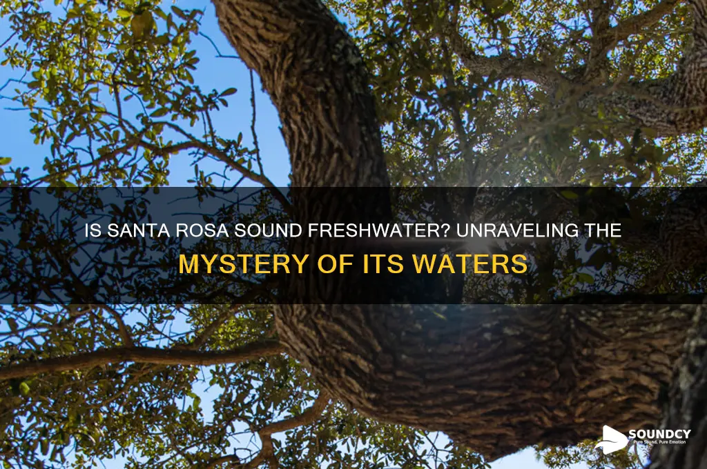is santa rosa sound freshwater