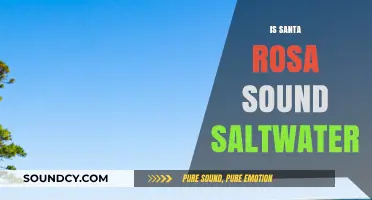 Is Santa Rosa Sound Saltwater? Exploring Its Unique Marine Characteristics