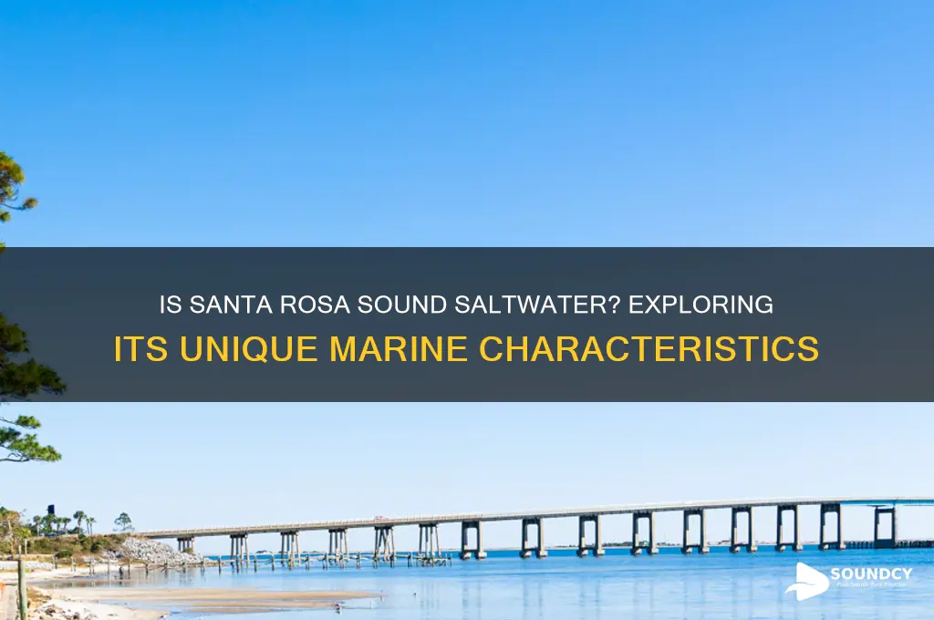 is santa rosa sound saltwater
