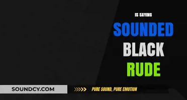 Is 'Sounded Black' Offensive? Exploring Language Sensitivity and Respect