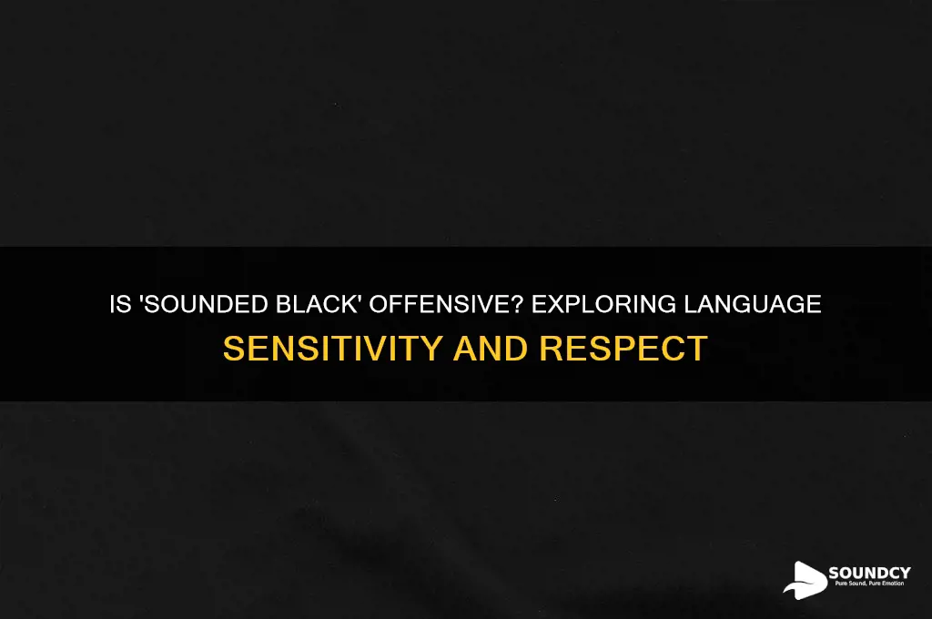 is saying sounded black rude