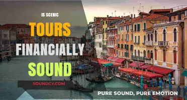 Evaluating Scenic Tours' Financial Health: A Comprehensive Analysis
