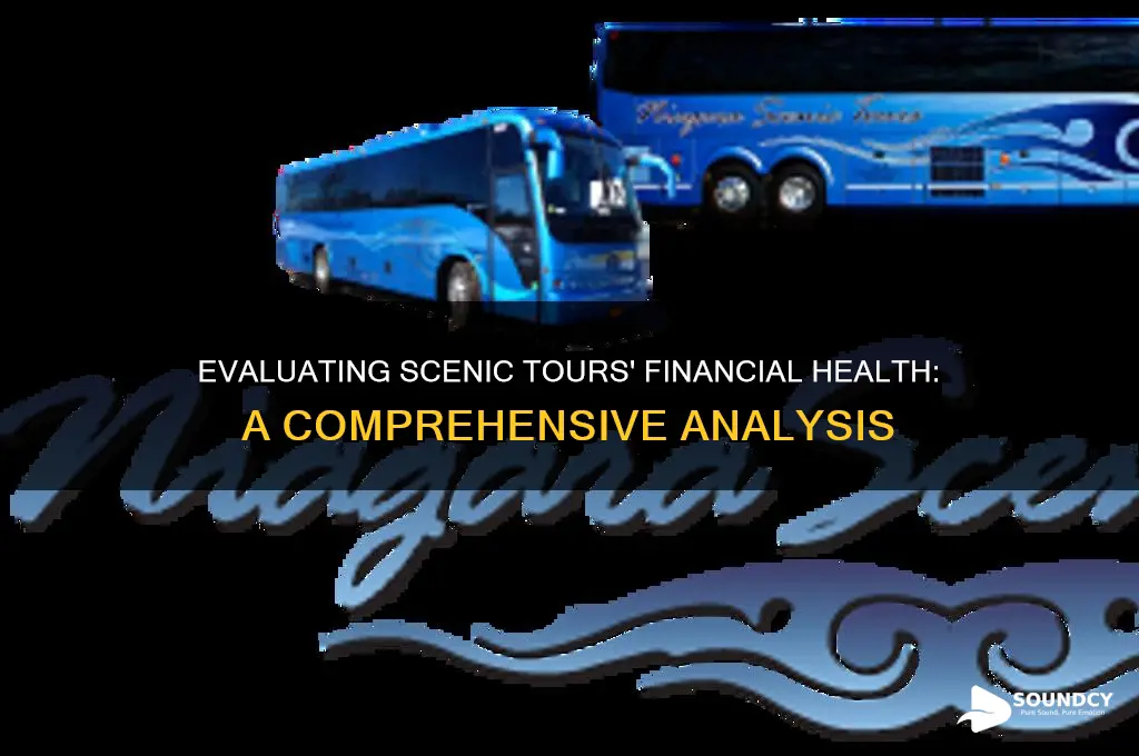 is scenic tours financially sound