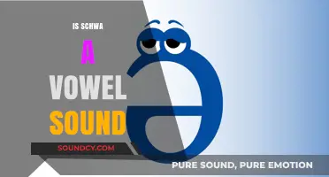 Is Schwa a Vowel Sound? Unraveling the Mystery of the Neutral Syllable