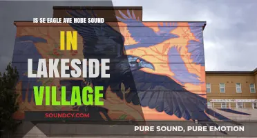 Exploring the Lakeside Village: Is SE Eagle Ave the Hidden Gem?