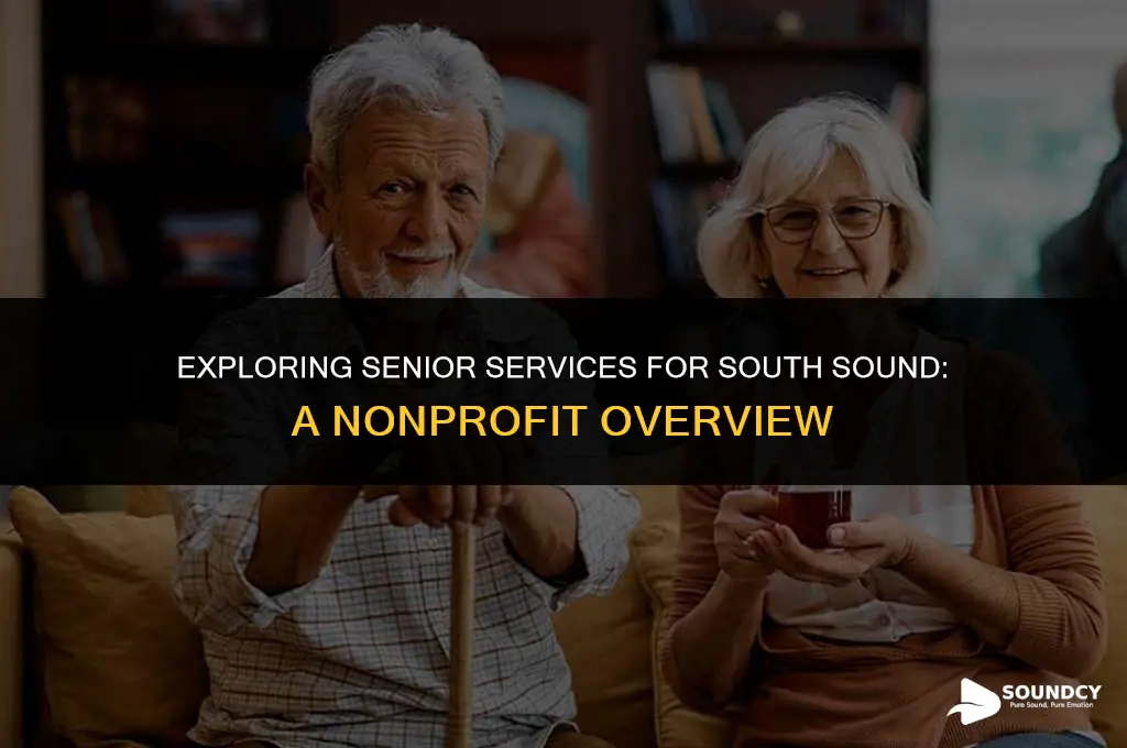 is senior services for south sound a non profit