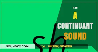 Is 'Sh' a Continuant Sound? Exploring Phonetics and Articulation