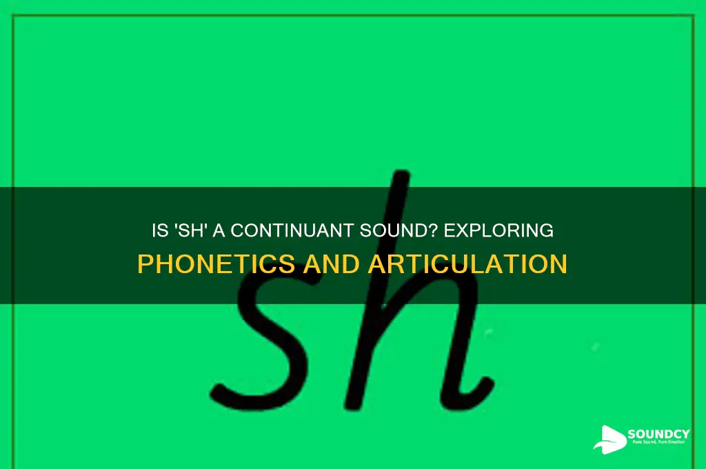 is sh a continuant sound