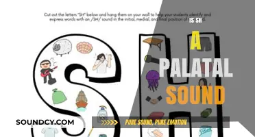 Is 'sh' a Palatal Sound? Exploring Phonetics and Articulation
