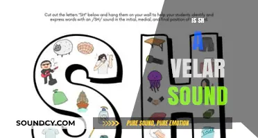 Is 'sh' a Velar Sound? Exploring Phonetics and Articulation