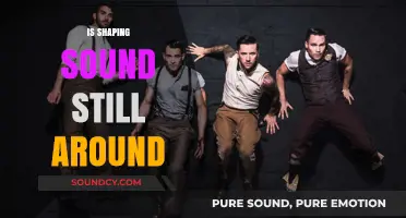 Is Shaping Sound Still Relevant in Today's Music Scene?