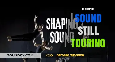 Is Shaping Sound Still Touring? Updates on the Dance Group's Journey