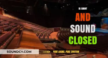 Is Sight and Sound Closed? Current Status and Updates Explained