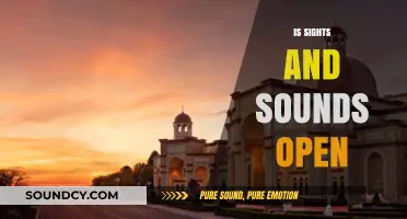 Is Sights and Sounds Open? Check Current Status and Hours