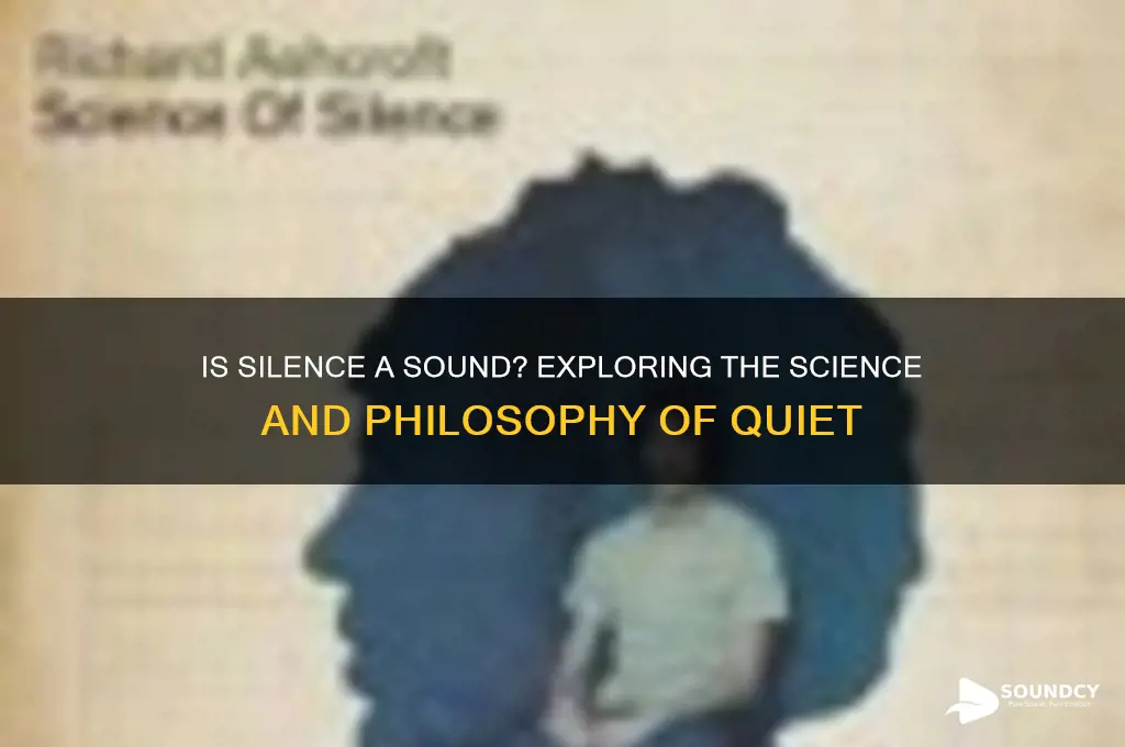 is silence considered a sound