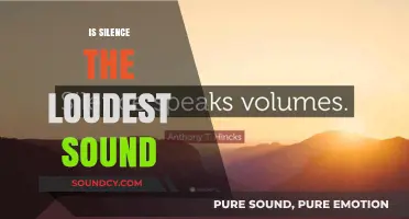 Is Silence the Loudest Sound? Exploring the Power of Quiet