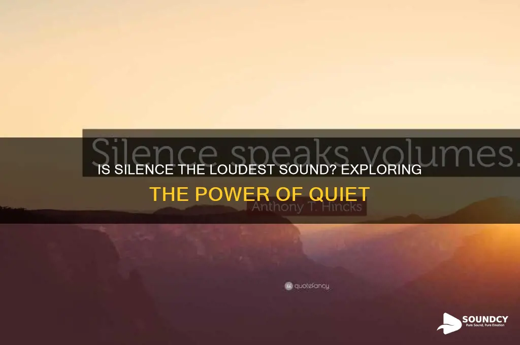 is silence the loudest sound