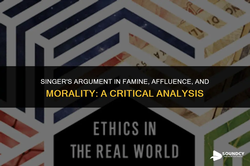 is singer argument in famine affluence and morality sound