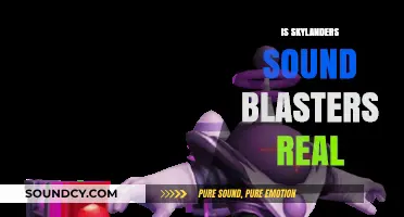 Are Skylanders Sound Blasters Real? Unveiling the Truth Behind the Toy