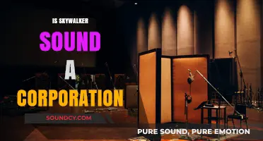 Is Skywalker Sound a Corporation? Unveiling the Business Behind the Iconic Studio