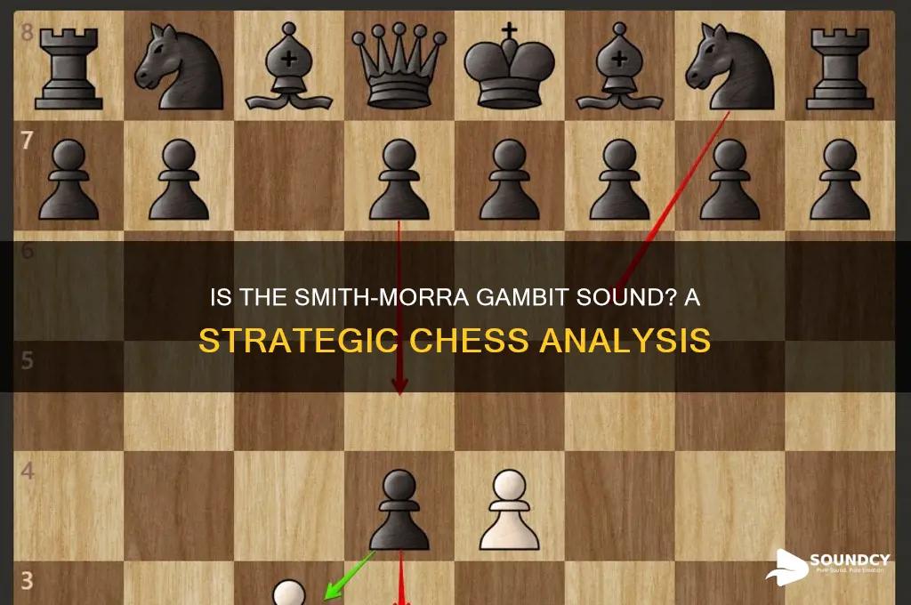 is smith morra gambit sound