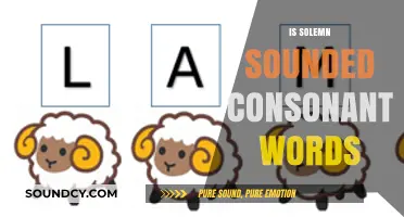 Exploring the Unique Sound of Solemn Consonant-Rich Words in Language